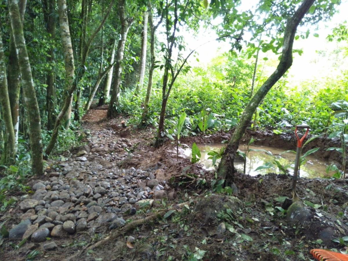 La Pina, Rio Celeste Lejlighedshotel Eksteriør billede